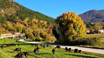 2. Istarski međunarodni dan lovstva