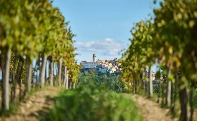 Teran Wine & Walk