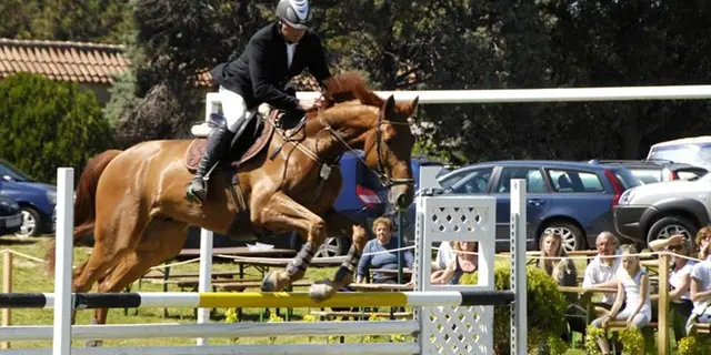 Riding Cup Medulin 2026