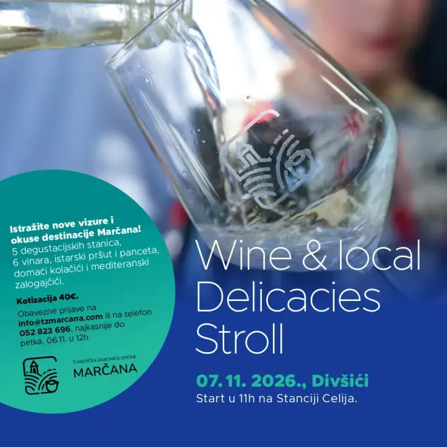 Wine & Delicacies Stroll — Divšići