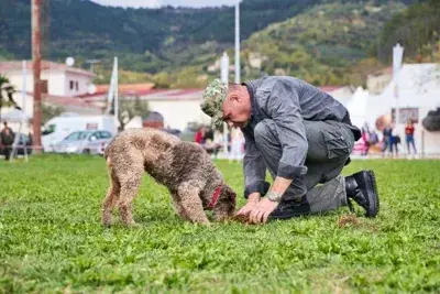 Giornate del tartufo Zigante